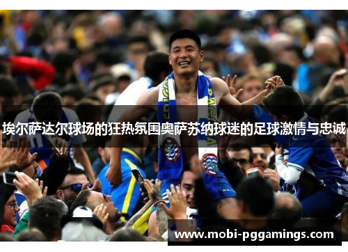 埃尔萨达尔球场的狂热氛围奥萨苏纳球迷的足球激情与忠诚