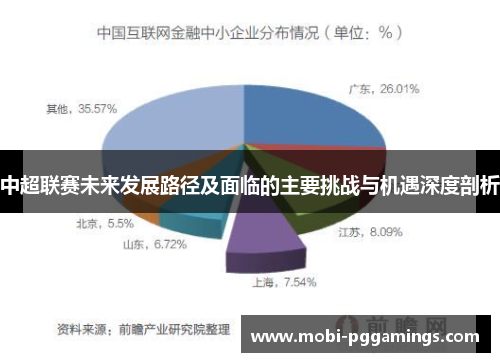 中超联赛未来发展路径及面临的主要挑战与机遇深度剖析