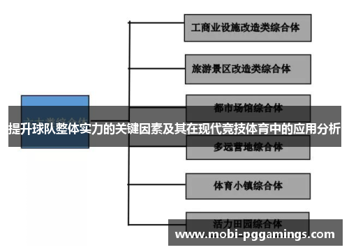 提升球队整体实力的关键因素及其在现代竞技体育中的应用分析
