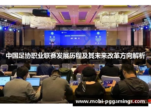 中国足协职业联赛发展历程及其未来改革方向解析