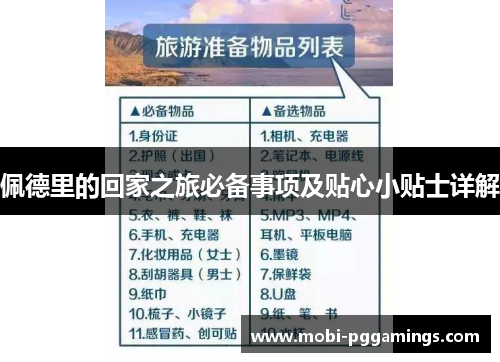 佩德里的回家之旅必备事项及贴心小贴士详解