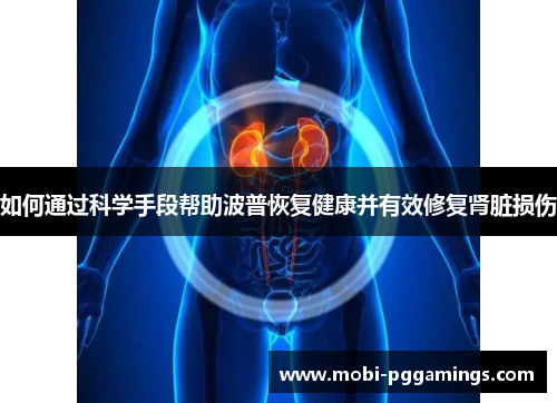 如何通过科学手段帮助波普恢复健康并有效修复肾脏损伤