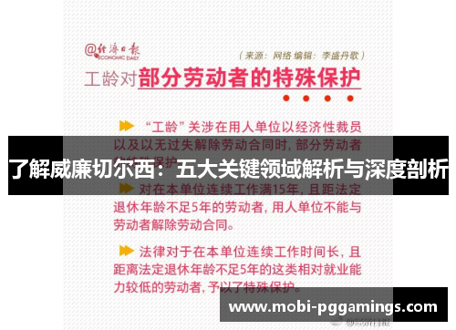 了解威廉切尔西：五大关键领域解析与深度剖析