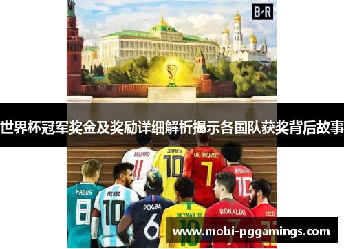 世界杯冠军奖金及奖励详细解析揭示各国队获奖背后故事