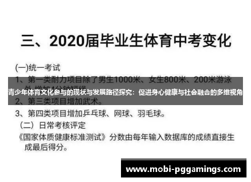 青少年体育文化参与的现状与发展路径探究：促进身心健康与社会融合的多维视角