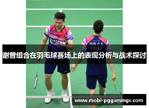 谢曾组合在羽毛球赛场上的表现分析与战术探讨