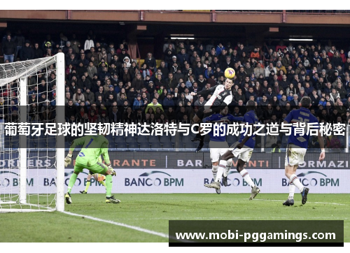 葡萄牙足球的坚韧精神达洛特与C罗的成功之道与背后秘密
