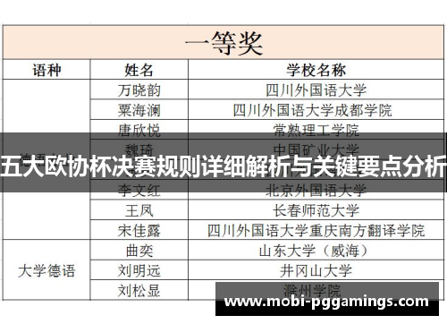五大欧协杯决赛规则详细解析与关键要点分析 五大欧协杯决赛规则详细解析与关键要点分析