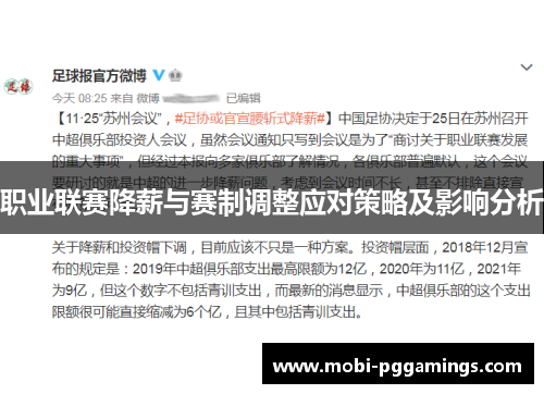职业联赛降薪与赛制调整应对策略及影响分析