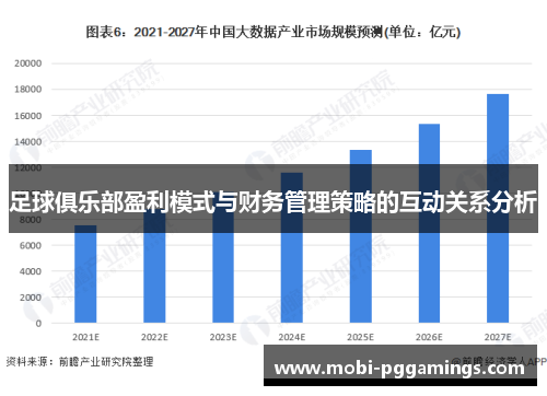 足球俱乐部盈利模式与财务管理策略的互动关系分析